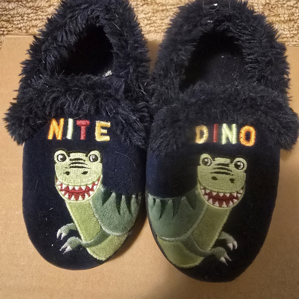Dinosaur Designs Kids Slippers - Black and Green